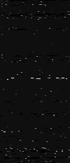 MTVZA-10.png